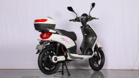 Photo-Album-_Electric Bicycle_UM-DB04_Rt._side2_White