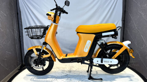 Photo-Album-_Electric Bicycle_UM-DB08_Rt._Golden-White