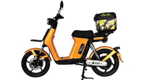 Photo-Album-_Electric Bicycle_UM-DB08_Rt._Golden_single seat_rear box & rack