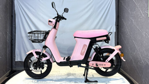 Photo-Album-_Electric Bicycle_UM-DB08_Rt._Pink