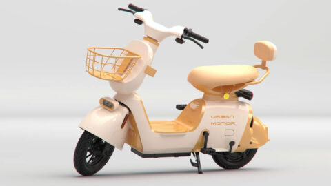 Photo-Album-_Electric-Bicycle_UM-DB01_Fr._Gold-rice