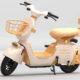 Photo-Album-_Electric-Bicycle_UM-DB01_Fr._Gold-rice