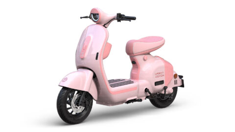 Photo-Album-_Electric-Bicycle_UM-DB02_Fr._Pink-beach