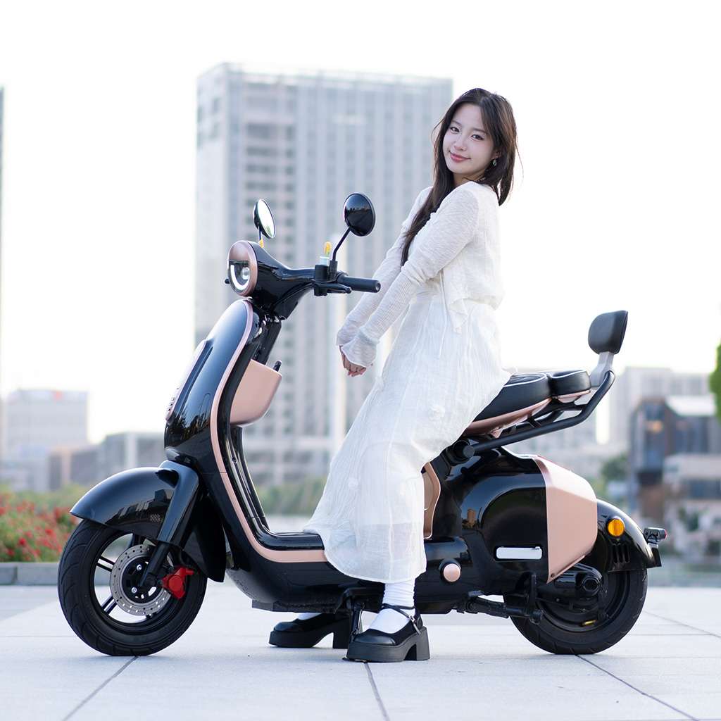 Photo-Gallery-Carousel_Electric-Bicycle_UM-DB02_black-golden1