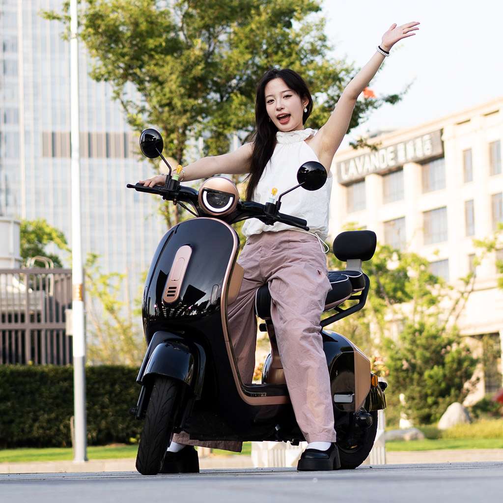 Photo-Gallery-Carousel_Electric-Bicycle_UM-DB02_black-golden2