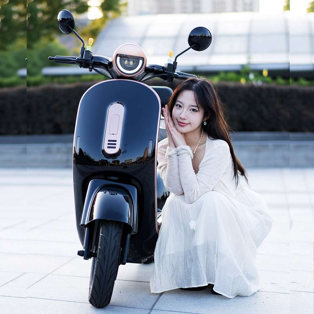 Photo-Gallery-Carousel_Electric-Bicycle_UM-DB02_black-golden3