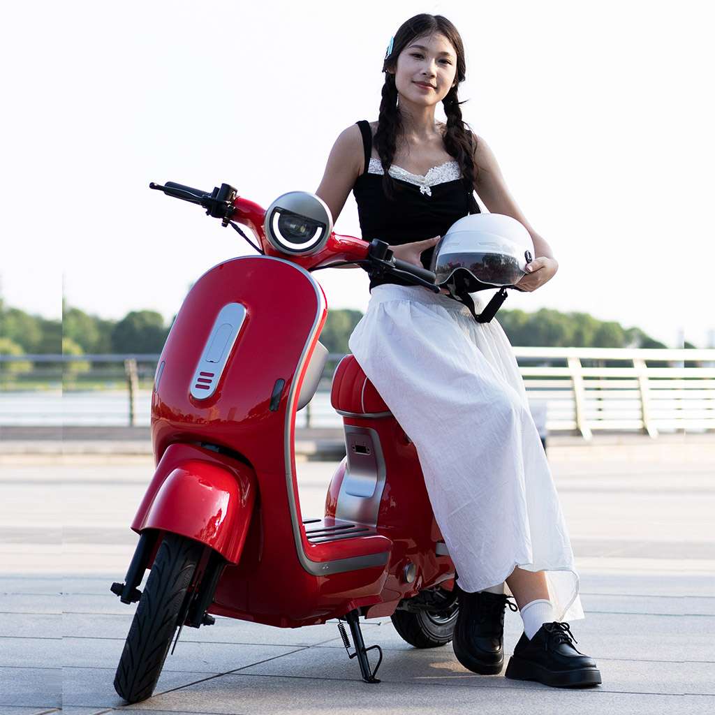 Photo-Gallery-Carousel_Electric-Bicycle_UM-DB02_red-silver2